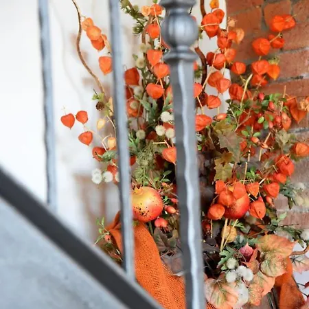 Casa vacanze Podere Il Granaio - Crete Senesi - Tuscany *