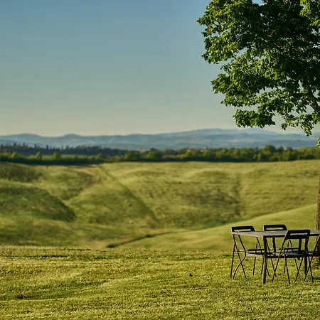 Podere Il Granaio - Crete Senesi - Tuscany Siena