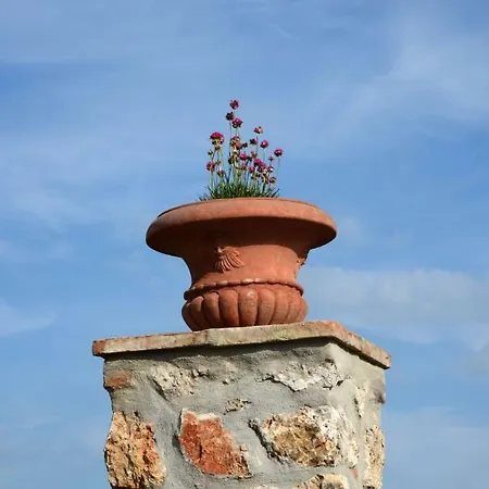 Podere Il Granaio - Crete Senesi - Tuscany Casa vacanze *