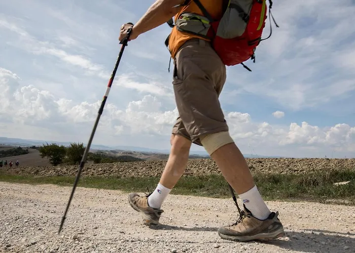 Podere Il Granaio - Crete Senesi - Tuscany 锡耶纳