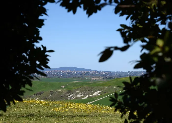 Podere Il Granaio - Crete Senesi - Tuscany 锡耶纳