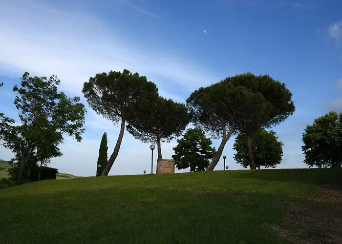 Podere Il Granaio - Crete Senesi - Tuscany *