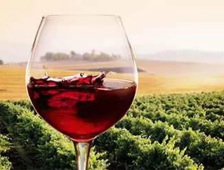 Hébergement de vacances Podere Il Granaio - Crete Senesi - Tuscany