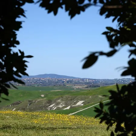 Podere Il Granaio - Crete Senesi - Tuscany Siena
